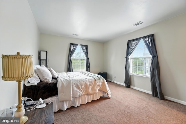 113 Timberlake Ter Unit 12, Stephens City, VA 22655 - bedroom featuring baseboards and carpet flooring