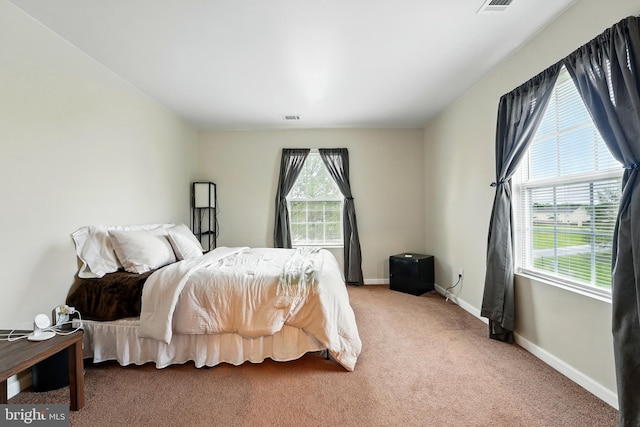 113 Timberlake Ter Unit 12, Stephens City, VA 22655 - bedroom with light colored carpet and baseboards