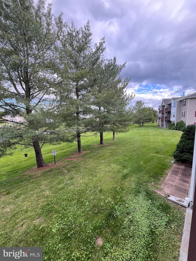 113 Timberlake Ter Unit 12, Stephens City, VA 22655 - view of grassy yard