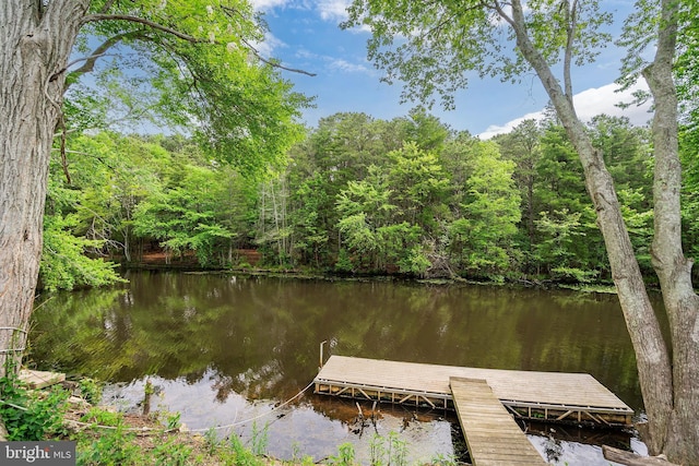11 Rivercrest, Little Egg Harbor Twp, NJ 08087 - dock area with a water view and a view of trees
