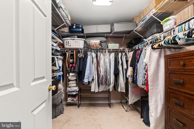 440 Glenn Rose Cir, King Of Prussia, PA 19406 - spacious closet with carpet