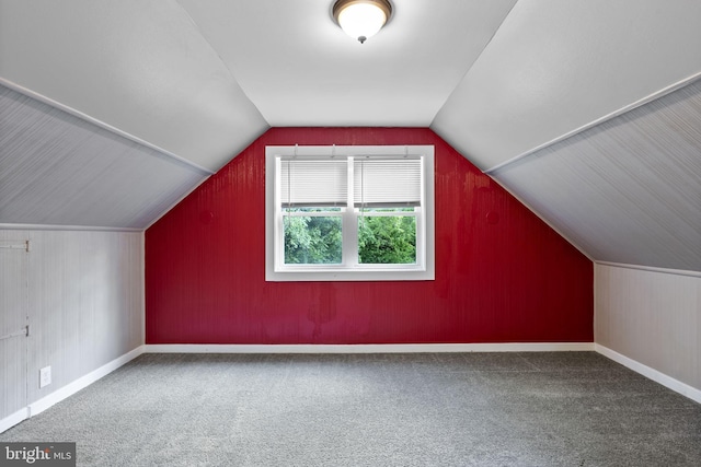 5421 Omaha Ave, Baltimore, MD 21206 - additional living space featuring carpet flooring and vaulted ceiling