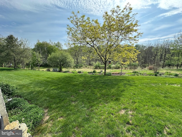 5054 Valley Stream Ln, Macungie, PA 18062 - view of grassy yard