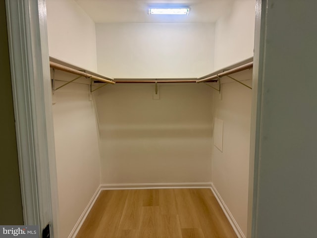 3627 Longridge Ct, Abingdon, MD 21009 - spacious closet with light wood-style flooring