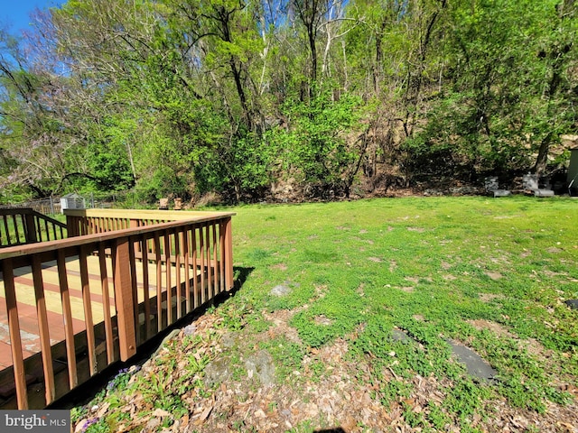 216 Parker Ave, Philadelphia, PA 19128 - view of green lawn with a deck