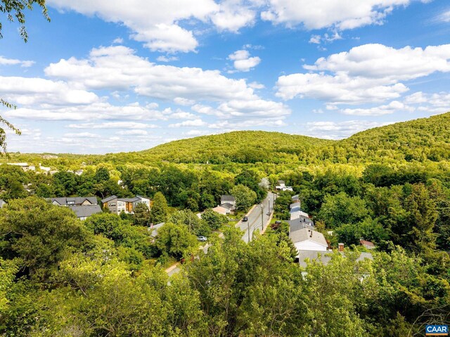 1130 Leonard St Unit X, Charlottesville, VA 22902