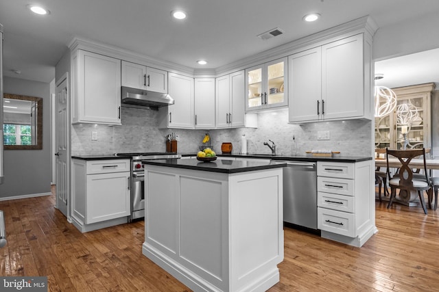 33 Jonquil Dr, Newtown, PA 18940 - kitchen with stainless steel appliances, under cabinet range hood, dark countertops, white cabinets, and light wood-style flooring