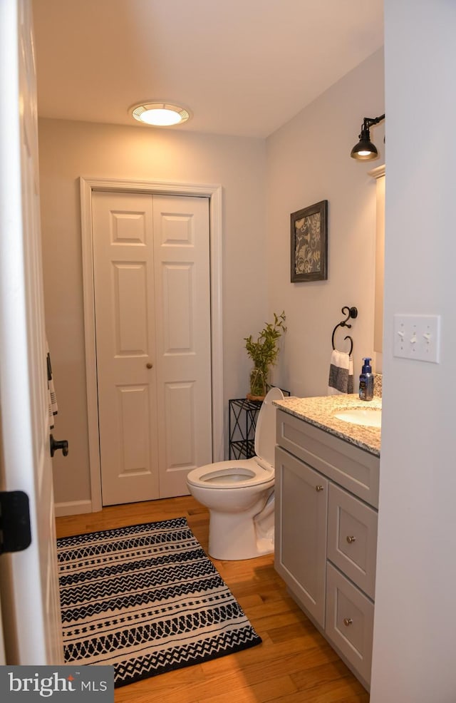 457 Langley Rd, Pittsgrove, NJ 08318 - bathroom featuring wood finished floors, vanity, and toilet