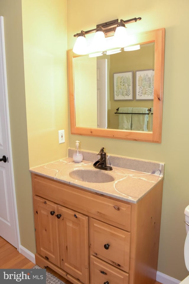 457 Langley Rd, Pittsgrove, NJ 08318 - bathroom with vanity, toilet, and wood finished floors
