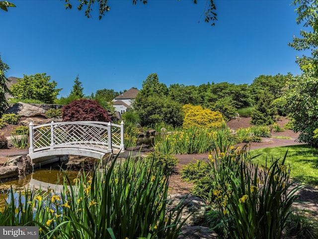 2507 Island Grove Blvd, Frederick, MD 21701 - view of community
