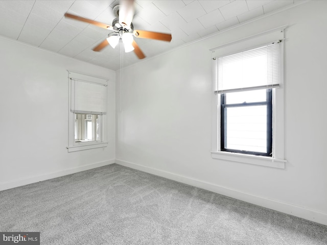 138 W Main St, Schuylkill Haven, PA 17972 - empty room with healthy amount of natural light, carpet floors, a ceiling fan, baseboards, and crown molding