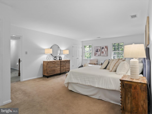 7449 Maple Branch Rd, Clifton, VA 20124 - bedroom featuring carpet flooring, baseboards, and a closet