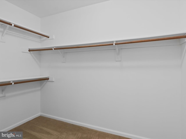 7449 Maple Branch Rd, Clifton, VA 20124 - walk in closet with carpet flooring