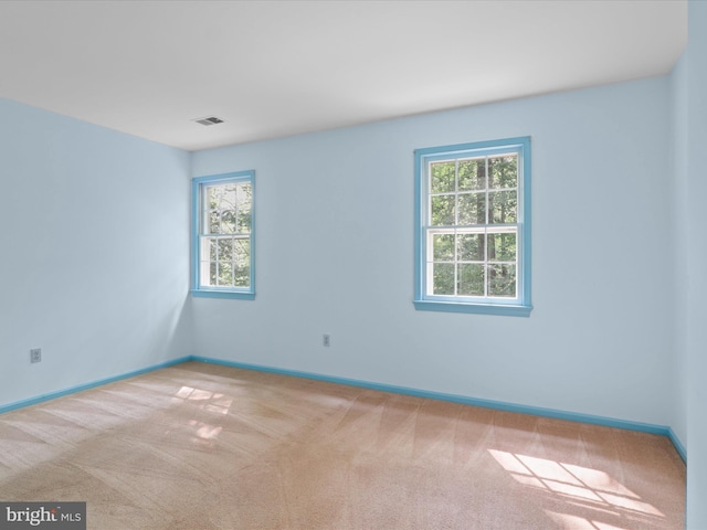 7449 Maple Branch Rd, Clifton, VA 20124 - empty room featuring plenty of natural light, carpet flooring, and baseboards
