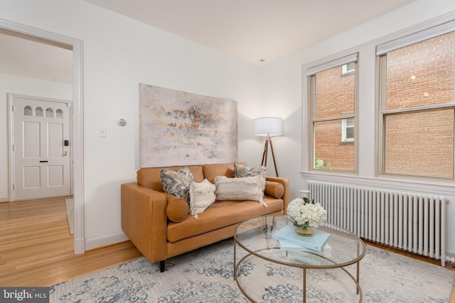 3709 Jocelyn St NW, Washington, DC 20015 - living room featuring radiator, wood finished floors, healthy amount of natural light, and baseboards