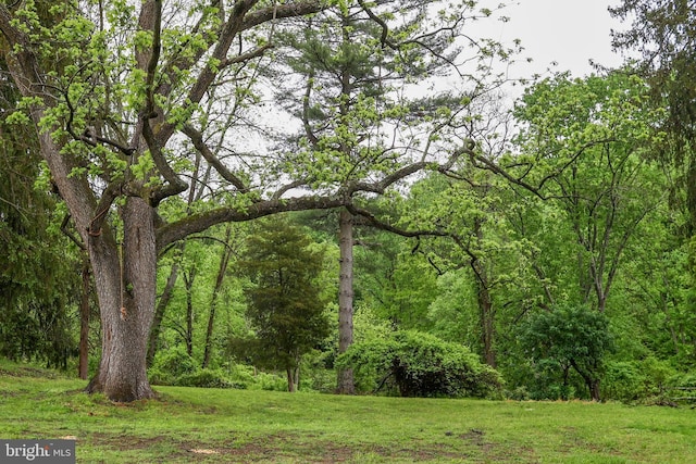 229 Valleybrook Rd, Chester Heights, PA 19017 - view of woods