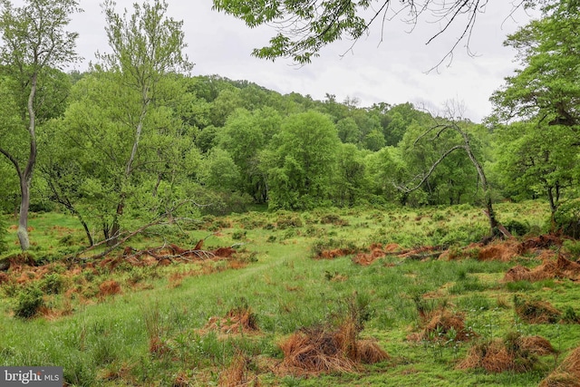 229 Valleybrook Rd, Chester Heights, PA 19017 - view of tree filled area
