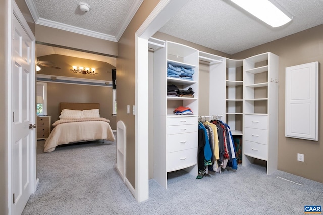 716 Preddy Creek Rd, Barboursville, VA 22923 - bedroom featuring carpet flooring, a textured ceiling, and crown molding