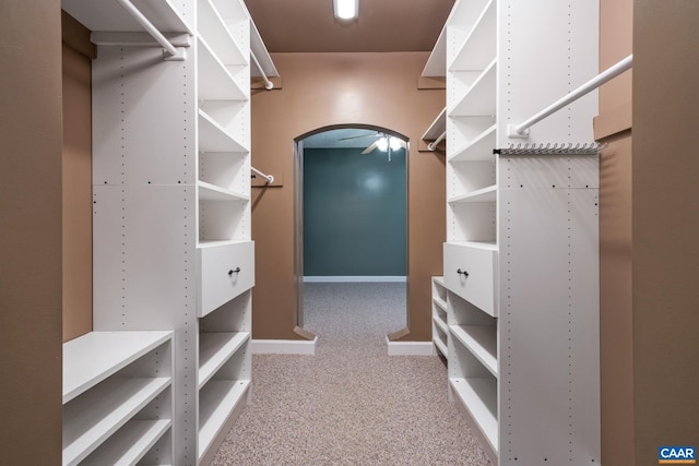 716 Preddy Creek Rd, Barboursville, VA 22923 - walk in closet with carpet floors and arched walkways