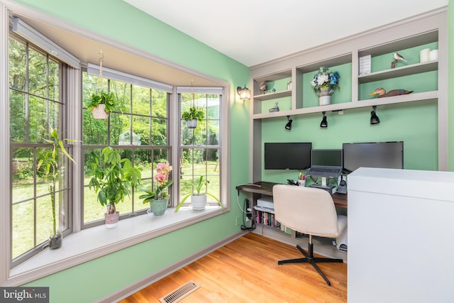 3532 Tall Pines Ln, Snow Hill, MD 21863 - home office with light wood-style floors