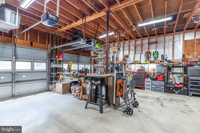 3532 Tall Pines Ln, Snow Hill, MD 21863 - garage with a garage door opener and a workshop area