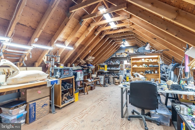 3532 Tall Pines Ln, Snow Hill, MD 21863 - view of unfinished attic