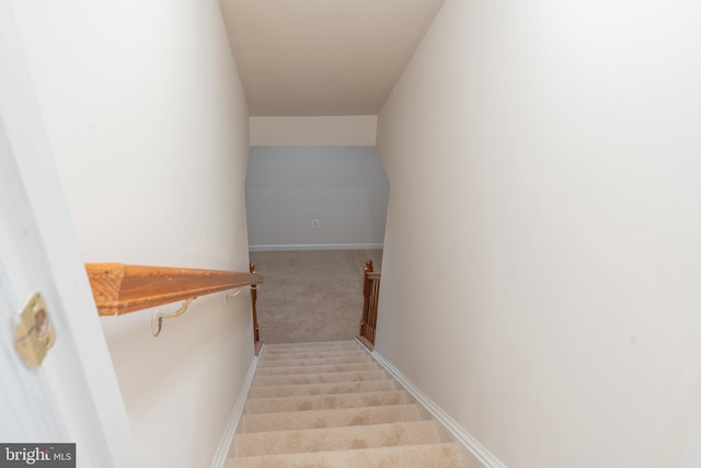 1908 Golden Morning Dr Unit 38, Bowie, MD 20721 - staircase featuring carpet floors and baseboards