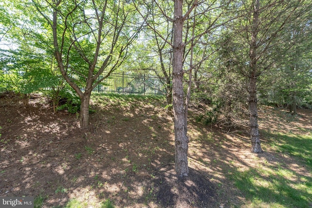 1908 Golden Morning Dr Unit 38, Bowie, MD 20721 - view of yard