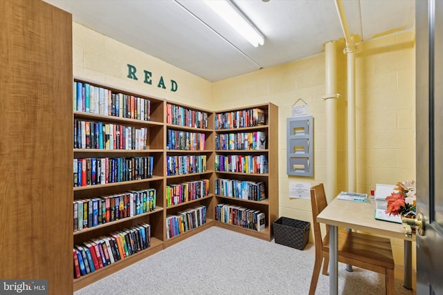 649 Brandon Rd, Eagleville, PA 19403 - miscellaneous room featuring carpet floors