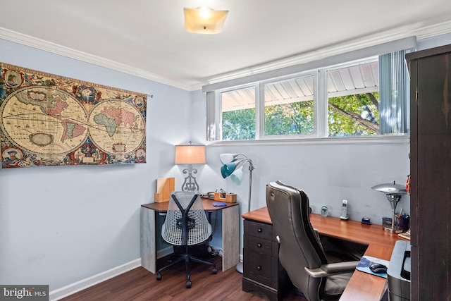 9615 51st Pl, College Park, MD 20740 - office space with wood finished floors, ornamental molding, and baseboards