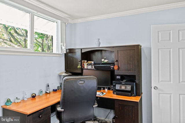 9615 51st Pl, College Park, MD 20740 - office with ornamental molding
