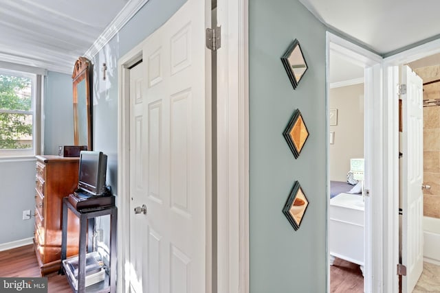 9615 51st Pl, College Park, MD 20740 - hall with wood finished floors, ornamental molding, and baseboards
