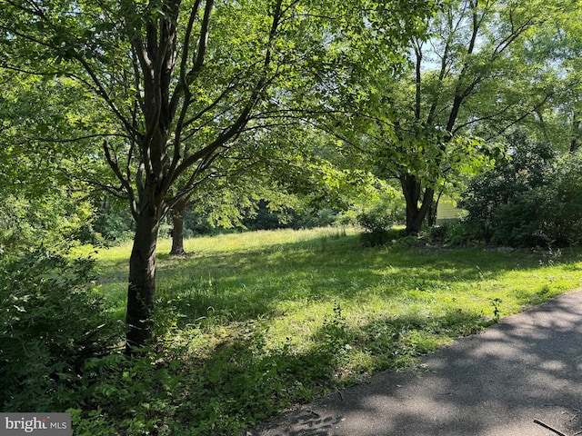TRACT54LOTS Boyd Rd, Clear Spring, MD 21722 - view of yard featuring a wooded view