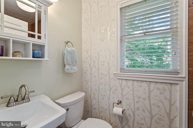 20 Oberlin Ave, Swarthmore, PA 19081 - half bathroom featuring a sink, toilet, and wallpapered walls