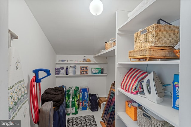 20 Oberlin Ave, Swarthmore, PA 19081 - view of storage