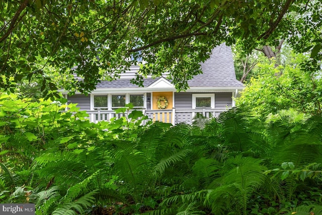 20 Oberlin Ave, Swarthmore, PA 19081 - view of front of house with a shingled roof