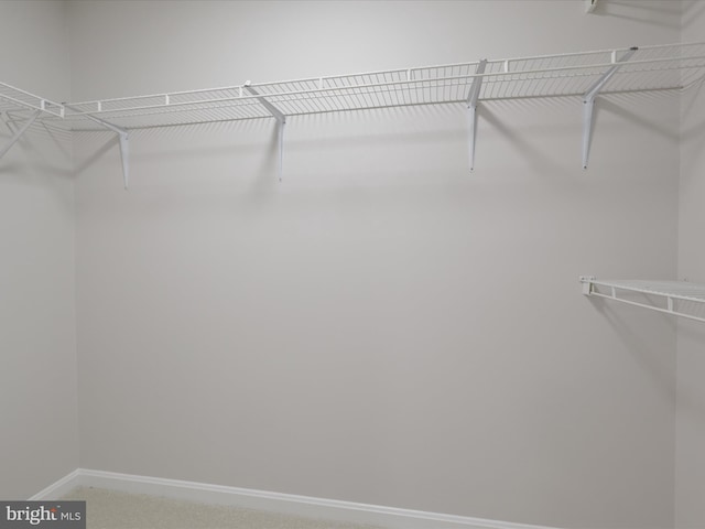 14282 Newbern Loop, Gainesville, VA 20155 - walk in closet featuring carpet floors