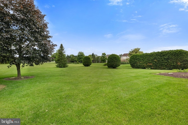 25 Warm Breeze Ct, Hanover, PA 17331 - view of grassy yard