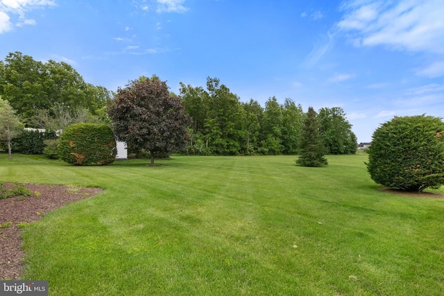 25 Warm Breeze Ct, Hanover, PA 17331 - view of green lawn