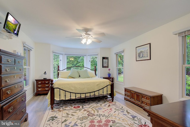 2119 Saint Heather Ln, Gambrills, MD 21054 - bedroom featuring multiple windows, light wood-style flooring, and a ceiling fan