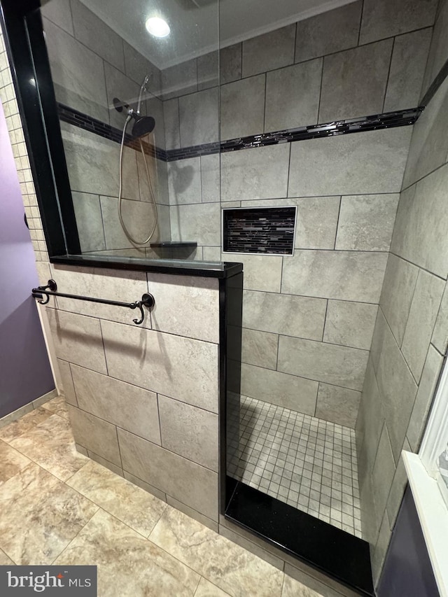 1803 Dubs Church Rd, Hanover, PA 17331 - full bath featuring walk in shower, baseboards, and recessed lighting