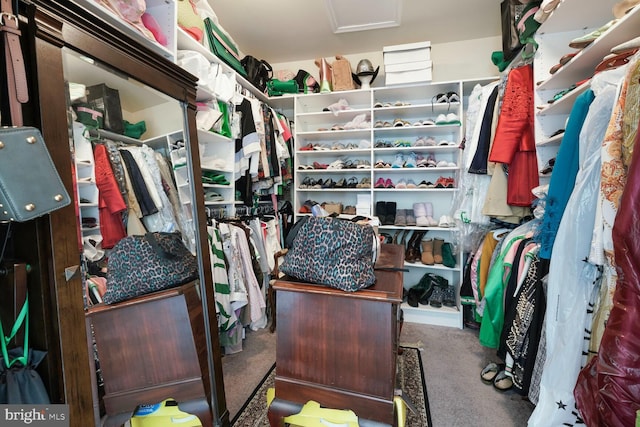 5544 Old Colony Ct, White Plains, MD 20695 - walk in closet featuring carpet flooring