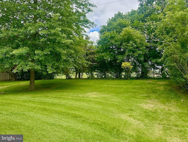 713 Worthington Dr, Warminster, PA 18974 - view of green lawn
