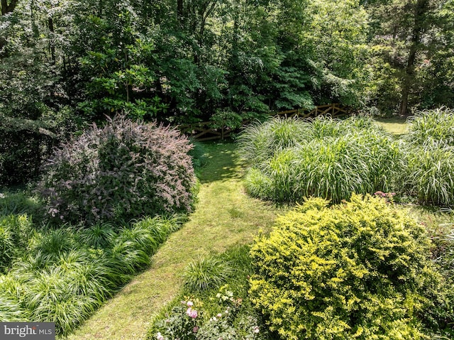 3520 Musket Dr, Midlothian, VA 23113 - view of yard