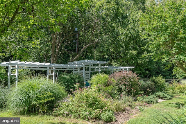 3520 Musket Dr, Midlothian, VA 23113 - view of yard