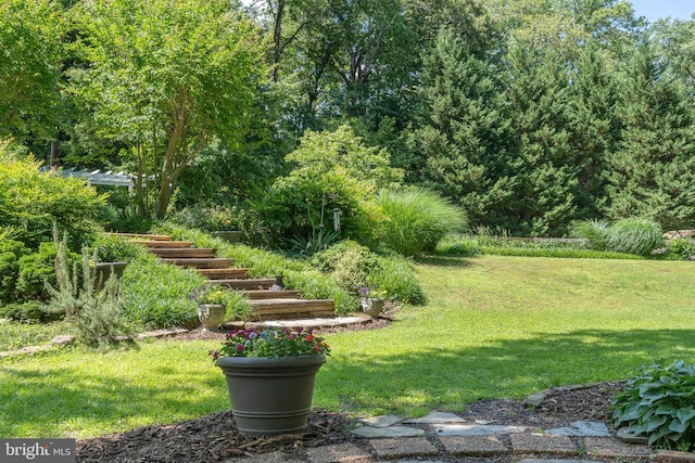 3520 Musket Dr, Midlothian, VA 23113 - view of grassy yard
