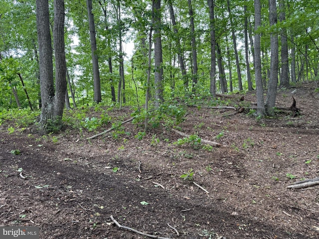 LOT15 Panther Dr, Winchester, VA 22602