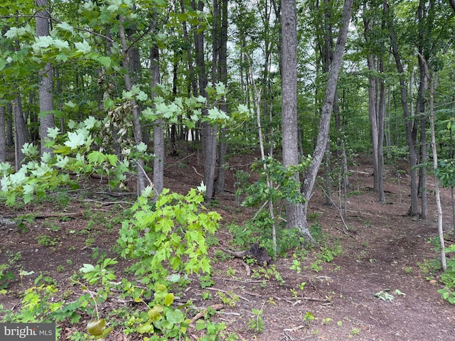LOT15 Panther Dr, Winchester, VA 22602