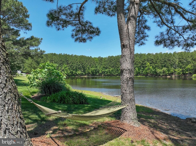 205 Mallard Dr, Stevensville, MD 21666 - water view featuring a heavily wooded area