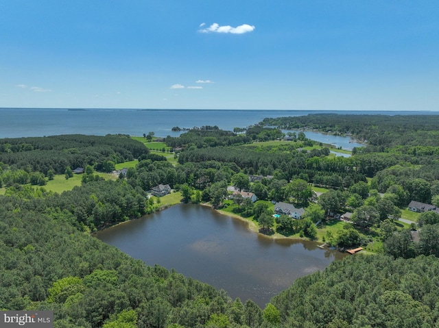 205 Mallard Dr, Stevensville, MD 21666 - bird's eye view of a forest and a large body of water